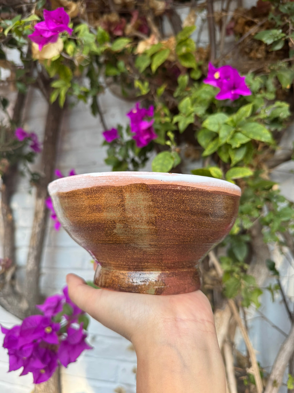 Bowl Sopa Otoño