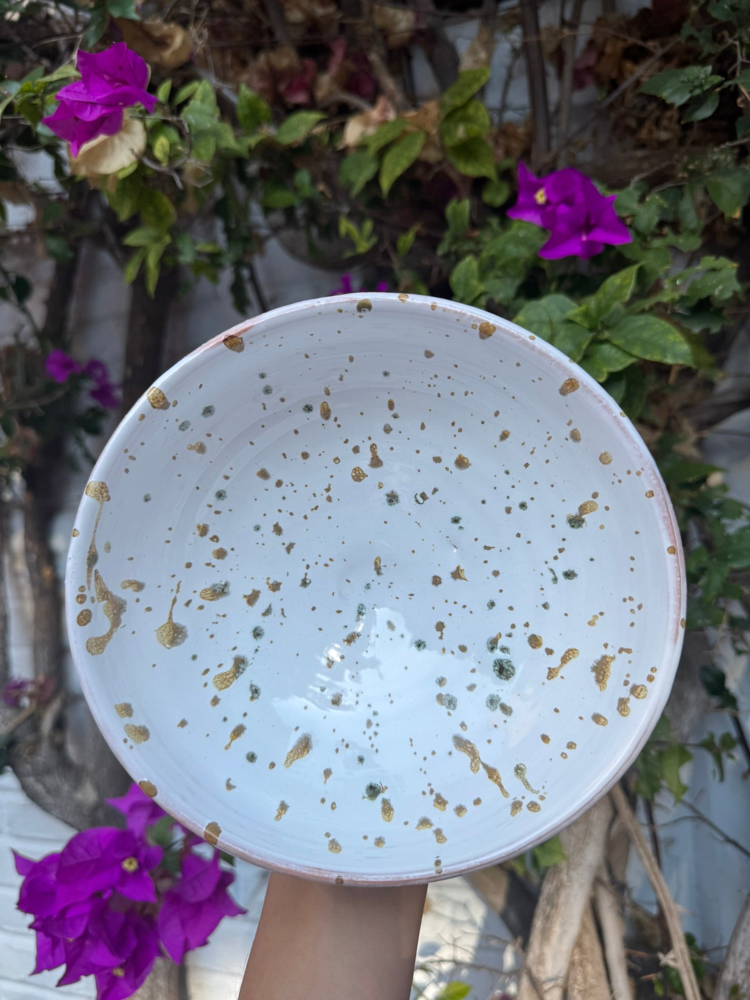Bowl Sopa Otoño