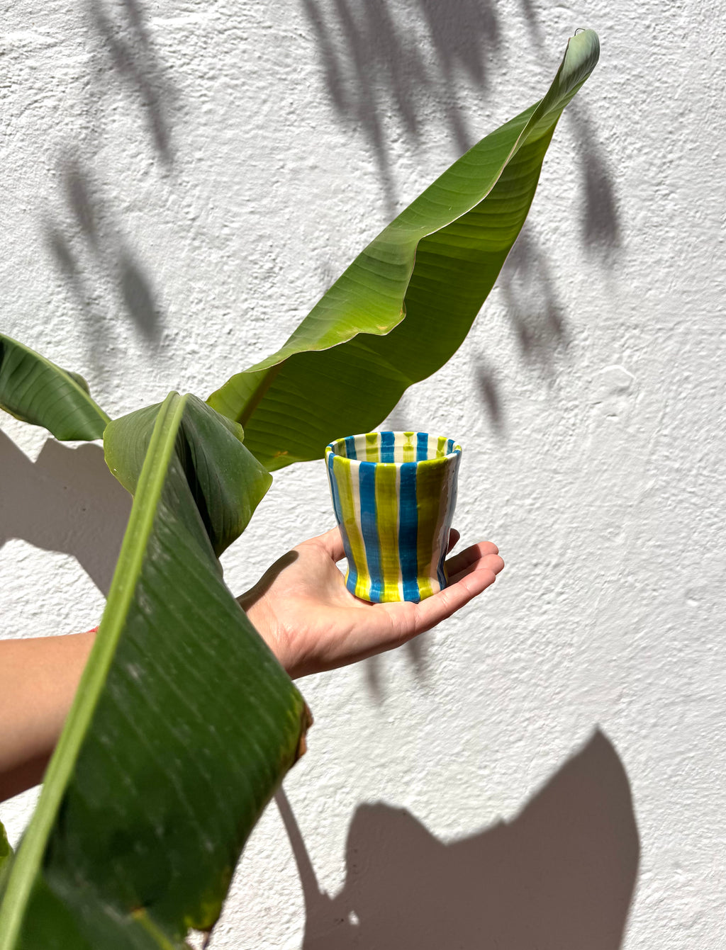 Taza Verano