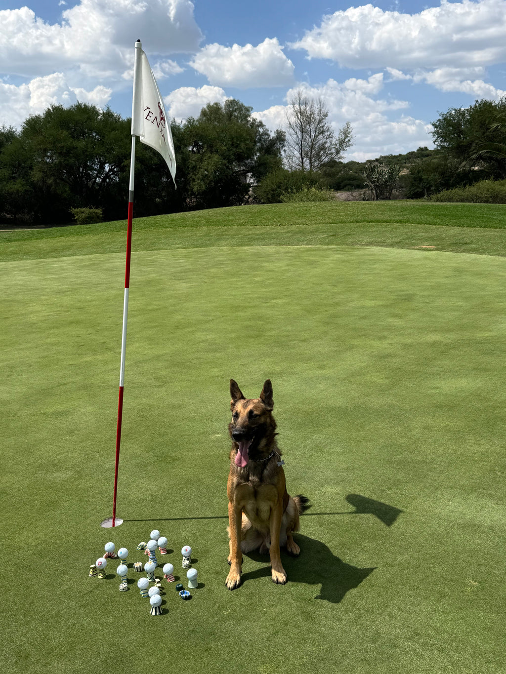 Expositores para bolas de golf