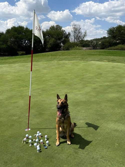 Expositores para bolas de golf