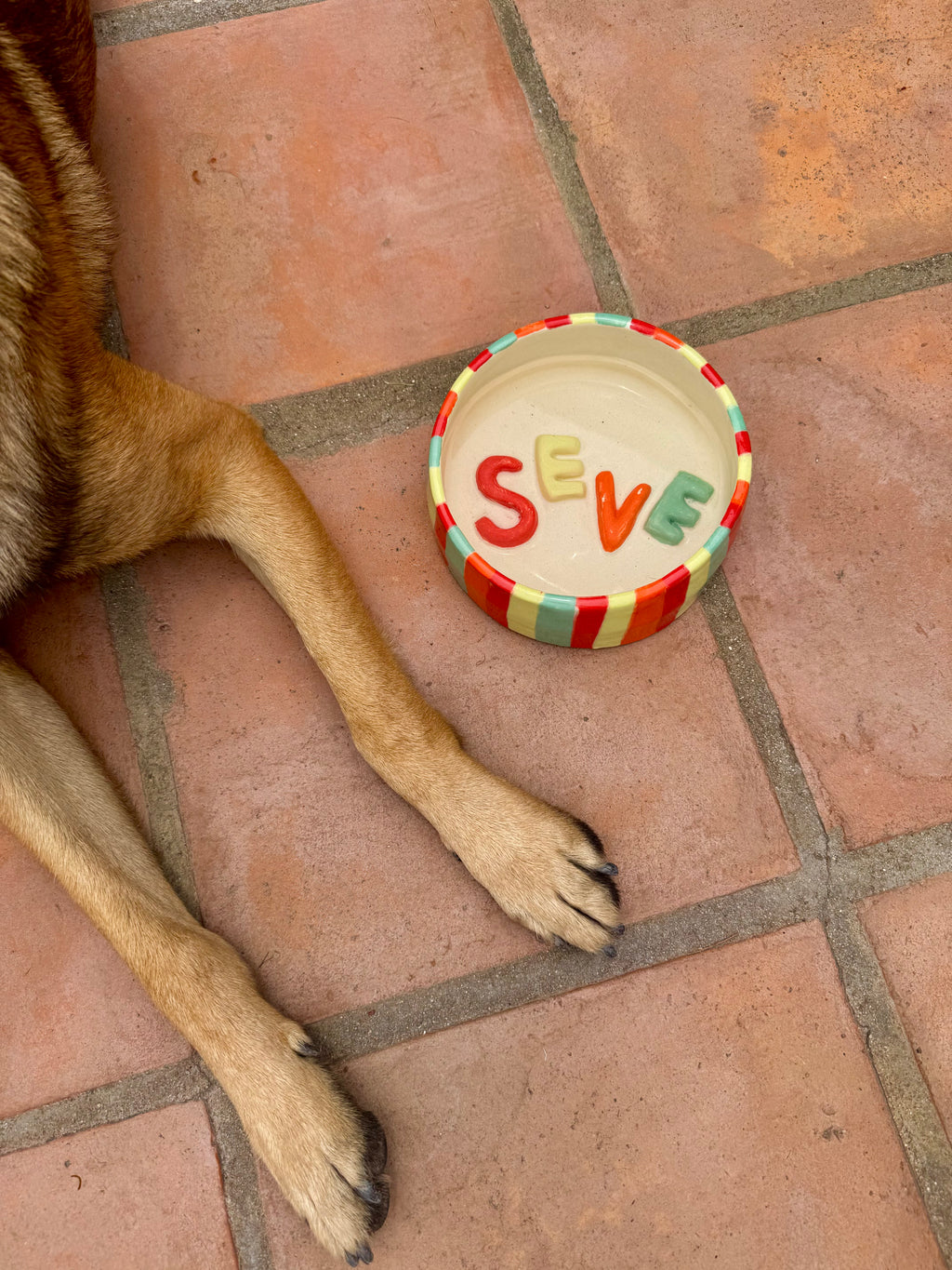 Plato Personalizado Mascota